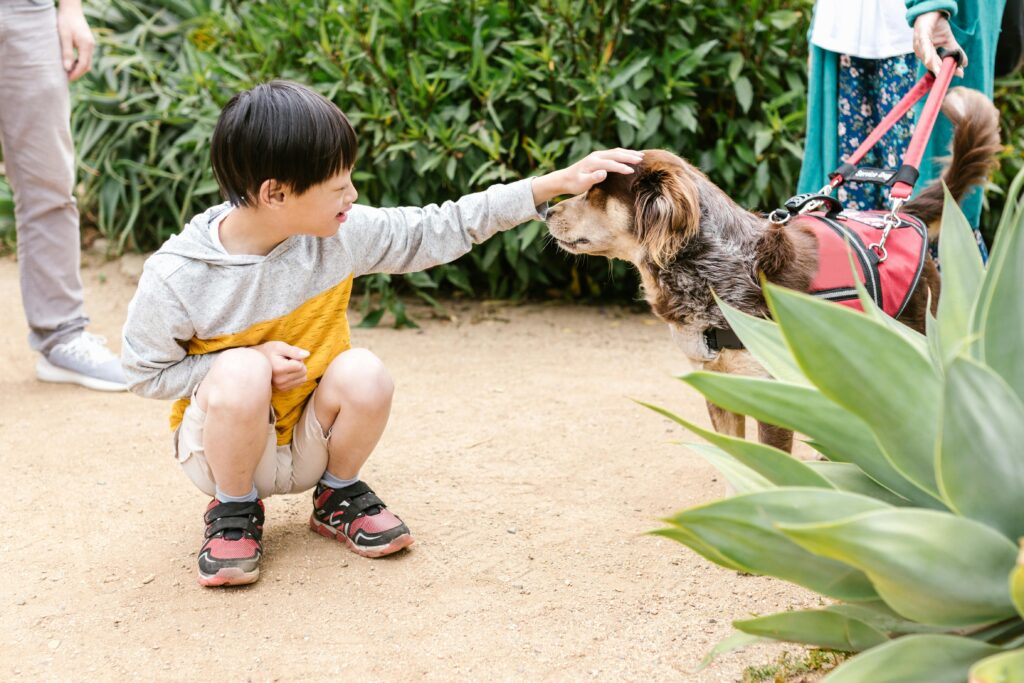 The Impact of Innovative Strategies in Autism Spectrum Treatment